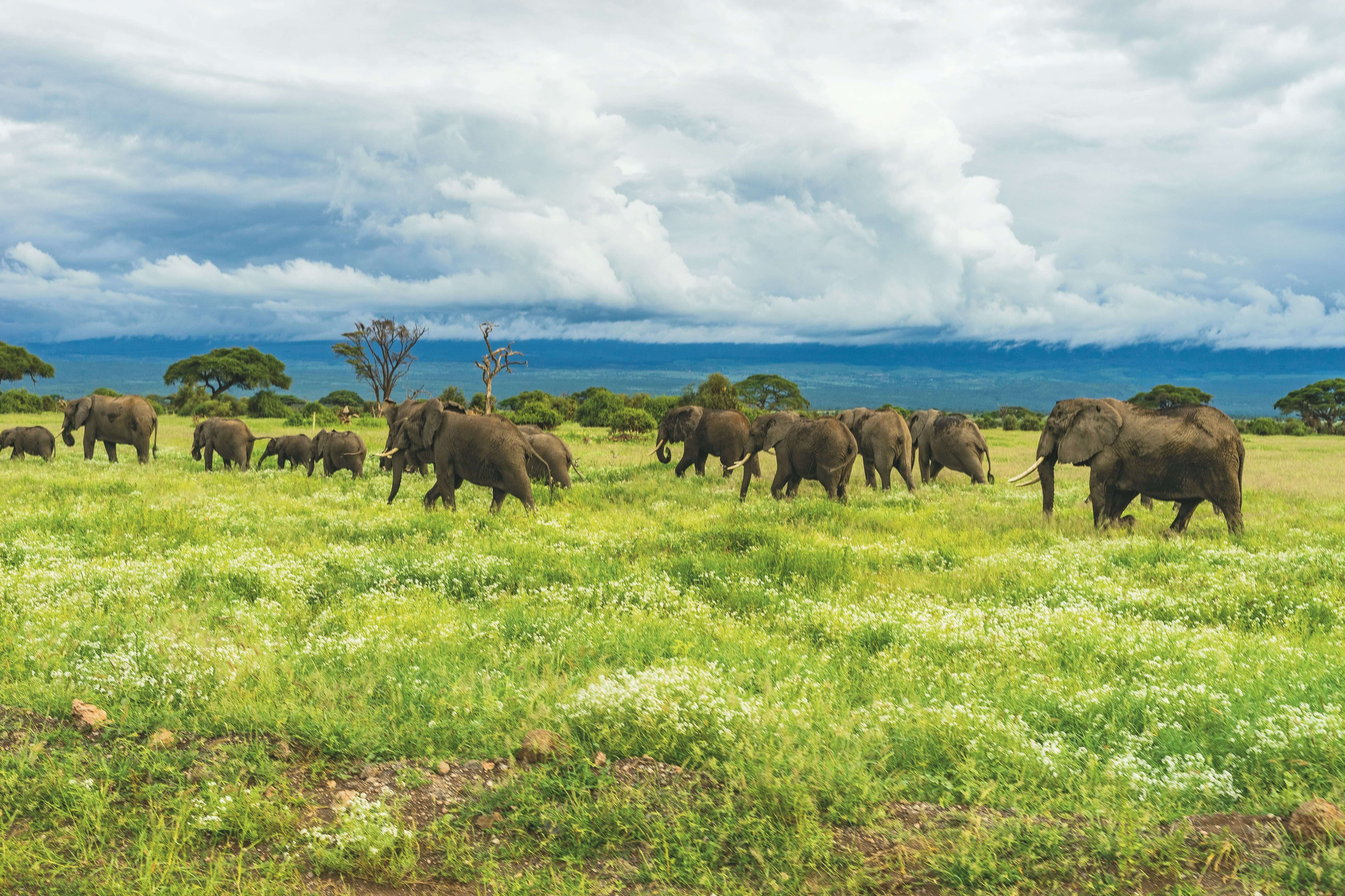 Tarangire National Park