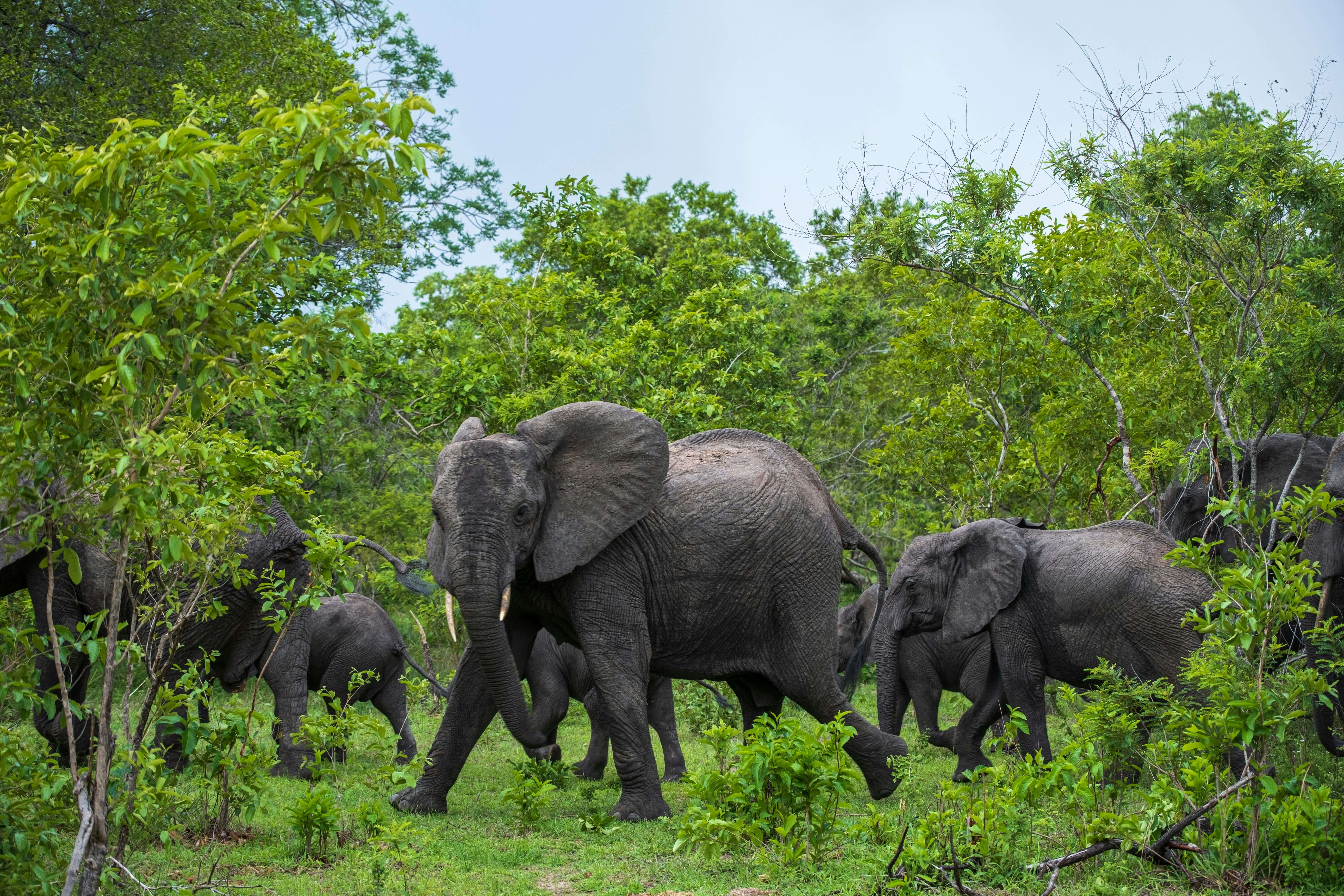 Tarangire National Park