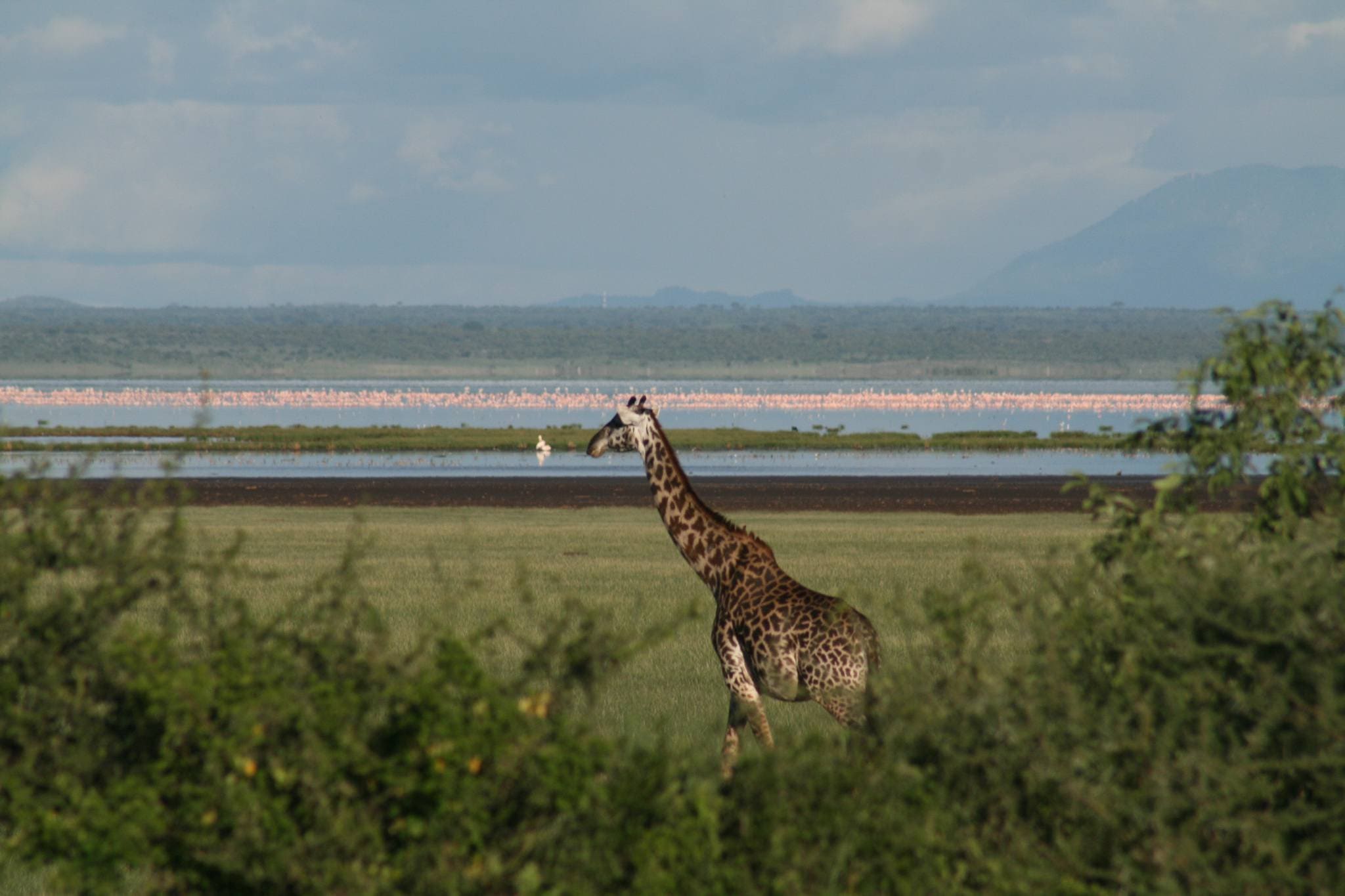 Lake Manyara National Park climate