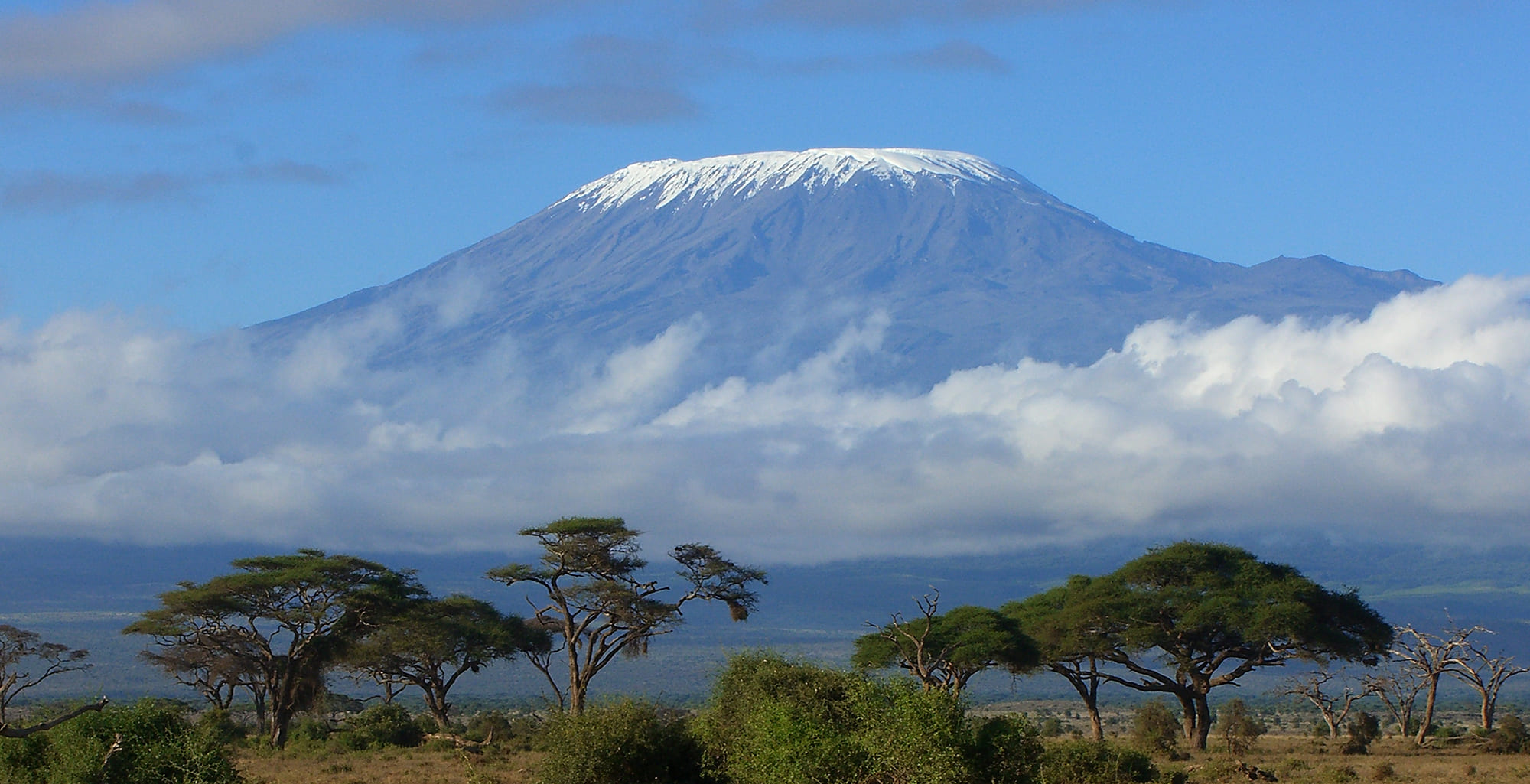 Book Your Safari