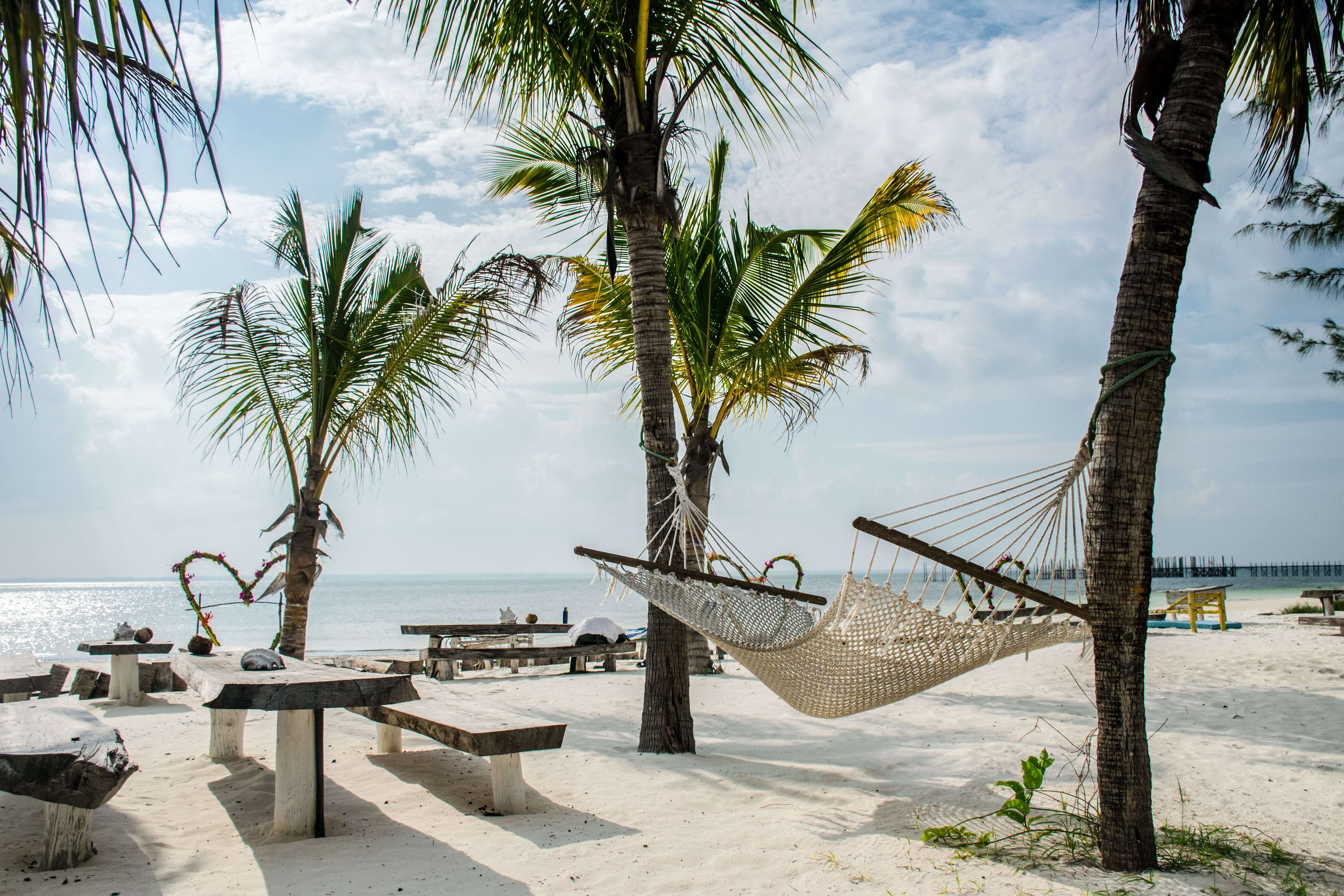 Calm coast of Zanzibar