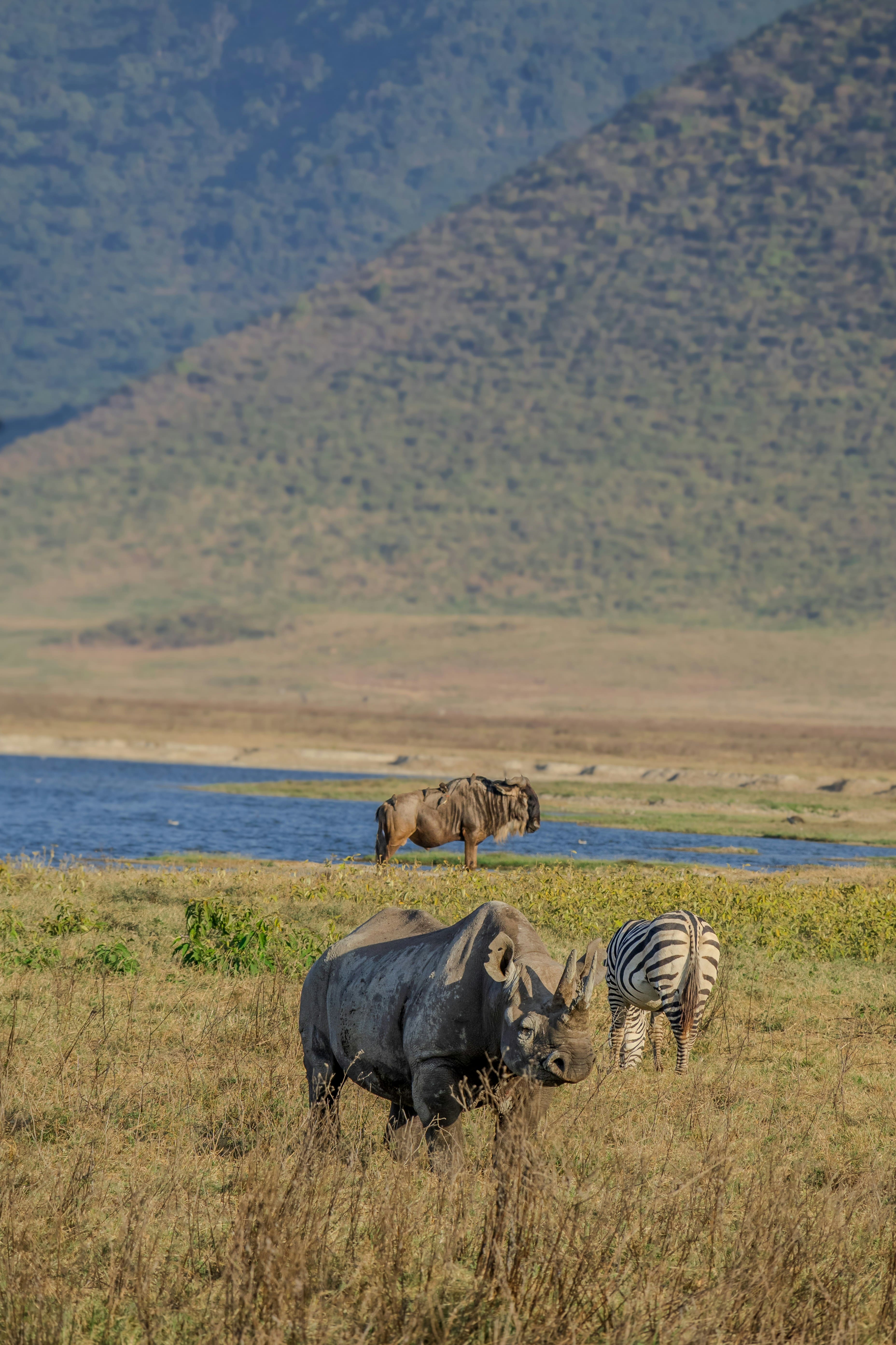 3-Day Express Wild Safari