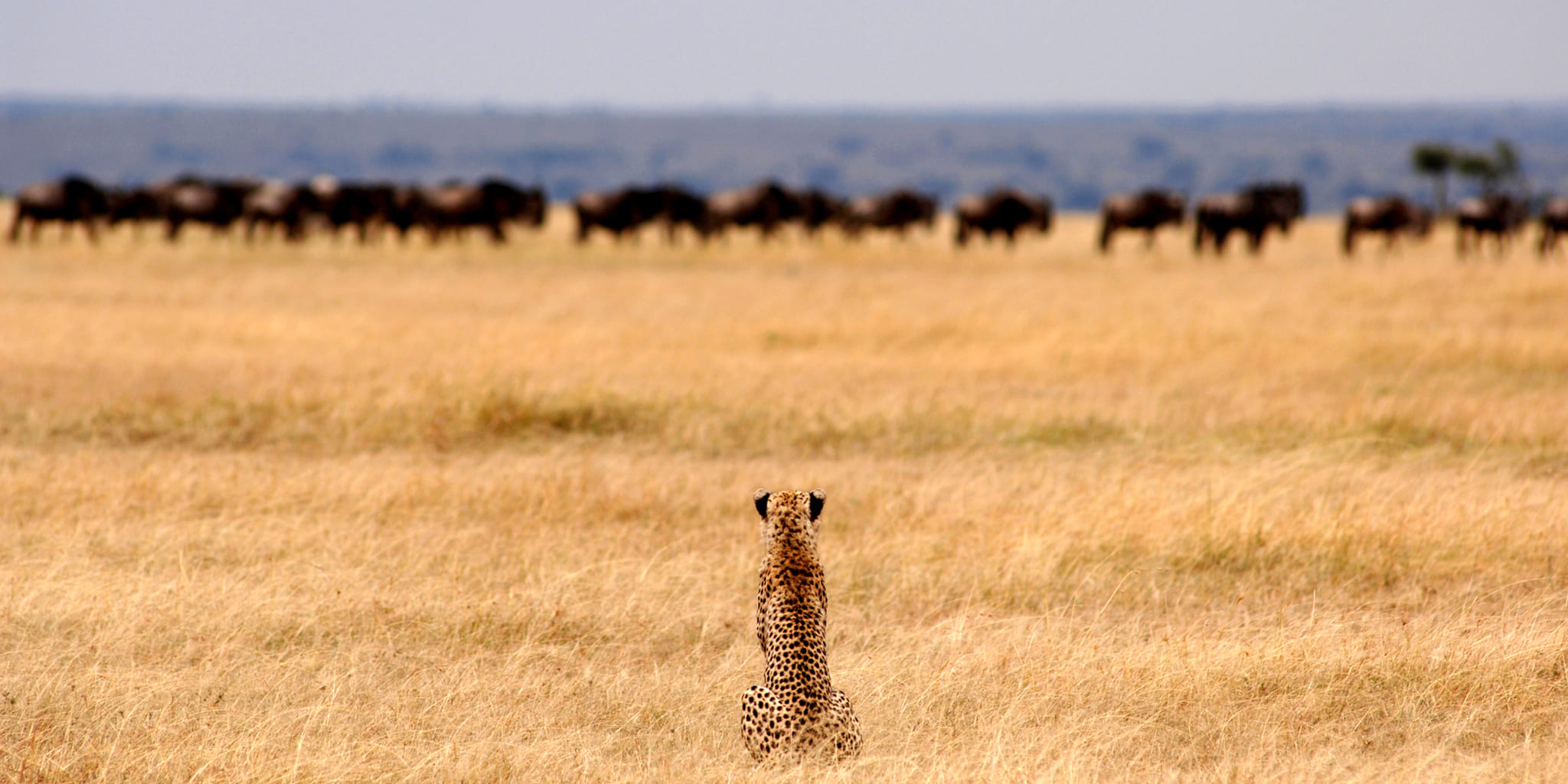 Serengeti National Park