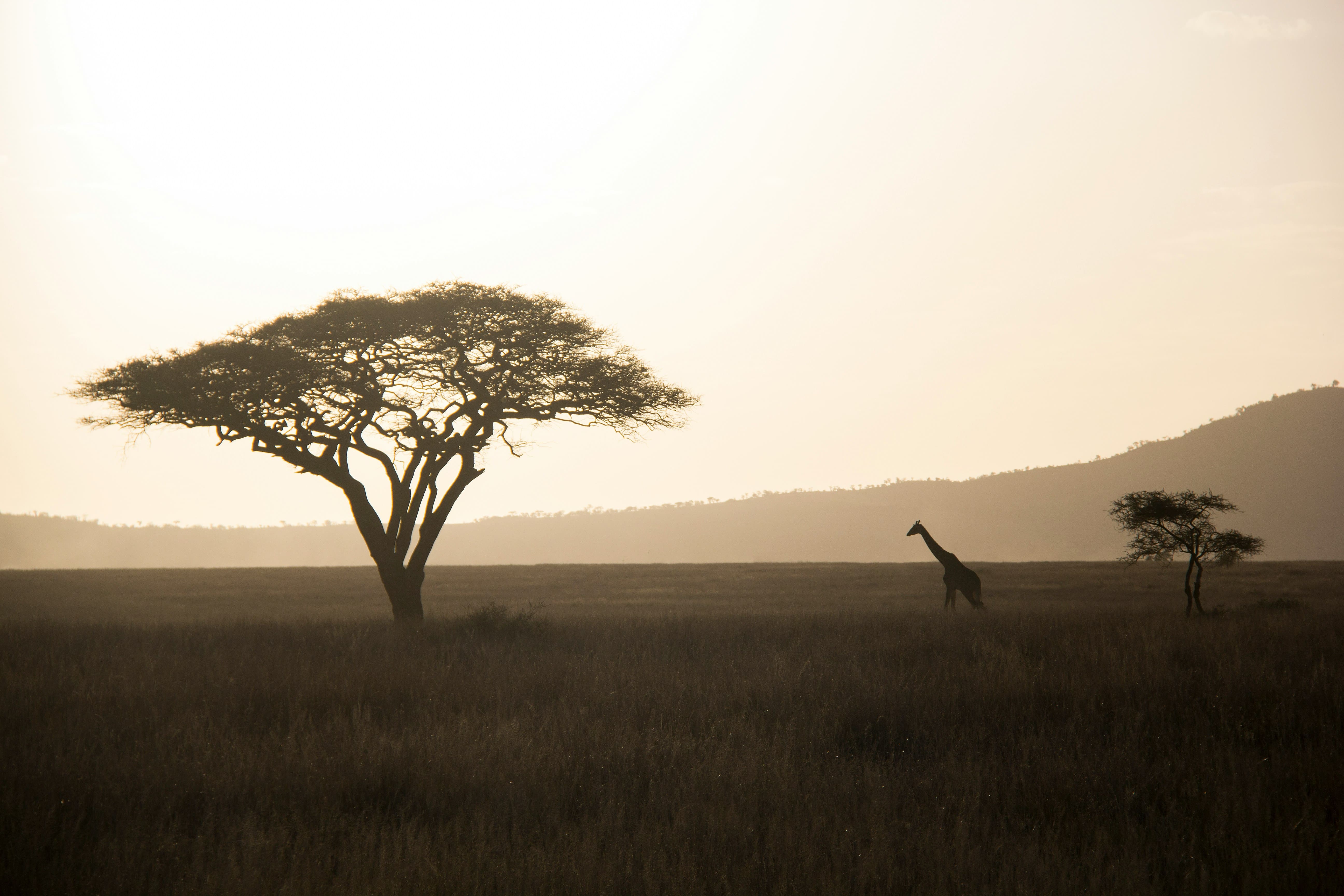 9-Day Photography Safari